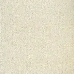 Acsento Caligari Vloerkleed 200 x 290 cm - Ivory
