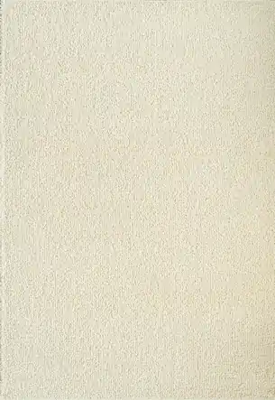 Acsento Caligari Vloerkleed 200 x 290 cm - Ivory