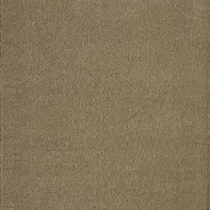 Acsento Caligari Vloerkleed 200 x 290 cm - Taupe