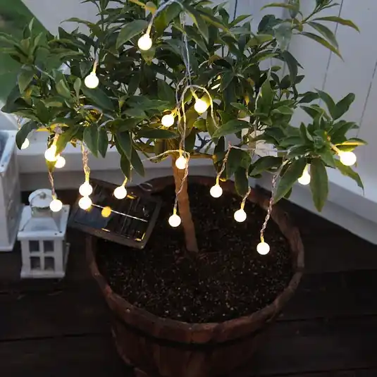 Globini LED lichtketting op zonne-energie met warmwit licht